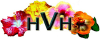 Hiddenvalleynaturearts.com logo