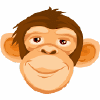 Hitsmonkey.com logo