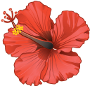Honoluluadvertiser.com logo