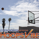 Hoopsvibe.com logo