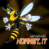 Hornet.it logo