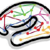 Humanconnectome.org logo