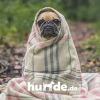 Hunde.de logo