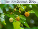 Iamshaman.com logo