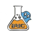 Ibric.org logo