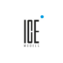 Icemodels.co.za logo
