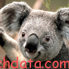 Ichdata.com logo