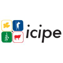 Icipe.org logo