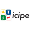 Icipe.org logo