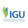 Igu.org logo