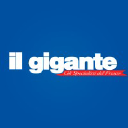 Ilgigante.net logo