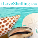 Iloveshelling.com logo