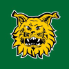 Ilves.com logo