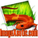 Imagexsotic.com logo