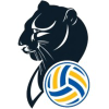 Imocovolley.it logo