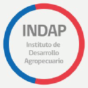 Indap.cl logo