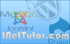 Inettutor.com logo