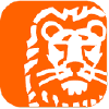 Ing.lu logo