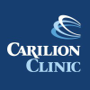 Insidecarilion.org logo