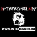 Interesmir.ru logo