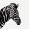 Investec.com logo