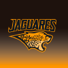 Jaguares.com.ar logo