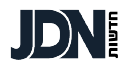 Jdn.co.il logo