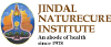 Jindalnaturecure.in logo