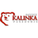 Kalinkaoptics.com logo
