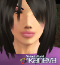 Kaneva.com logo