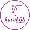 Karekok.com.tr logo