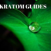 Kratomguides.com logo