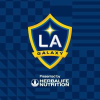 Lagalaxy.com logo