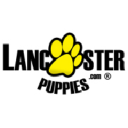 Lancasterpuppies.com logo