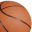Landofbasketball.com logo