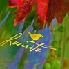 Lauritawinery.com logo