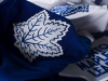 Letsgoleafs.com logo