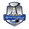 Liguemagnus.com logo