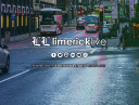 Limerickleader.ie logo