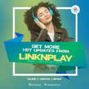 Linknplay.com logo