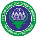 Livestockpunjab.gov.pk logo