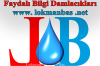 Lokmanbas.net logo