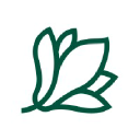 Magnolia.ro logo