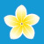 Mahalo.com logo