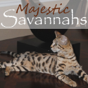 Majesticsavannahs.com logo
