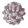 Mandelbulb.com logo