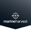 Marineharvest.com logo