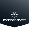 Marineharvest.com logo