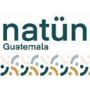 Mayanfamilies.org logo