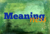 Meaningness.com logo